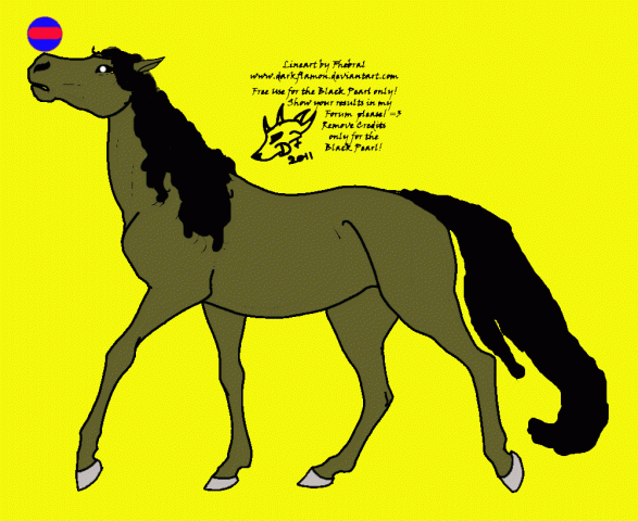48043_walkheadup_copy.png