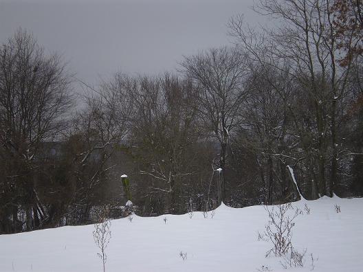 4810_gardensnow2.jpg