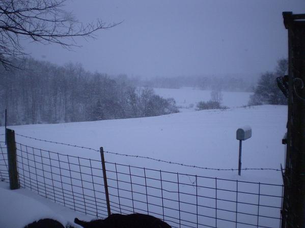 4810_snow1.jpg