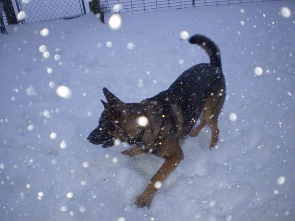4810_snow2.jpg