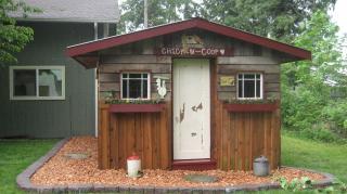 48134_squirrel_chicken_coop_004.jpg