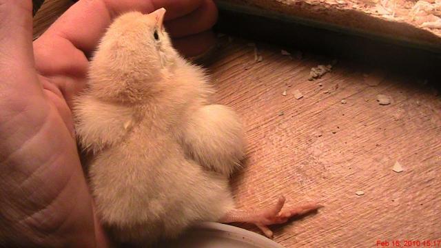 48139_img_0503.jpg
