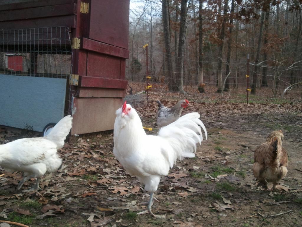 48196_wp_000356.jpg