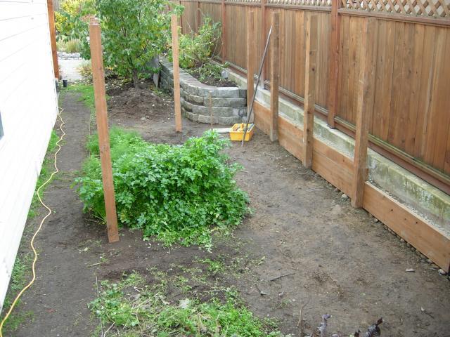 48209_dscn5250.jpg