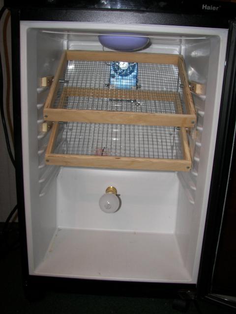 48214_incubator_2.jpg