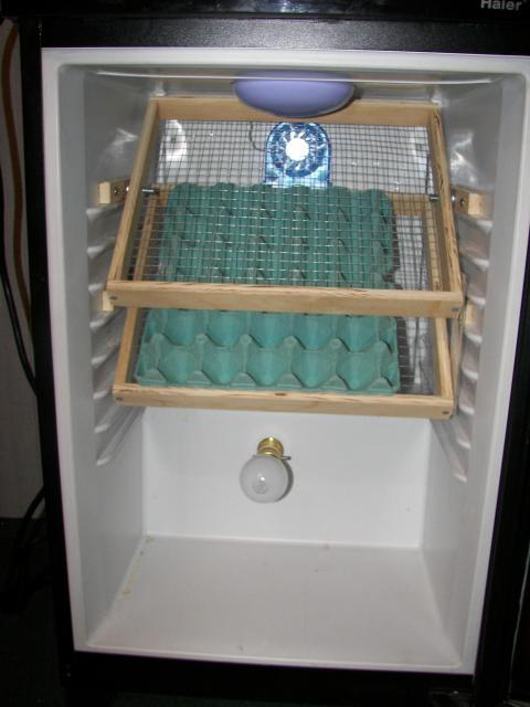 48214_incubator_3.jpg