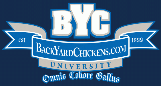 4824_byc-university.gif