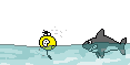 48259_shrk.gif