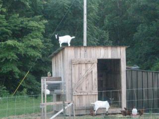 48271_picture_639.jpg