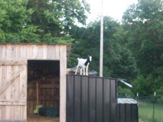 48271_picture_647.jpg