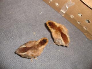 48419_068.jpg