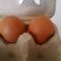 48460_eggs.jpg