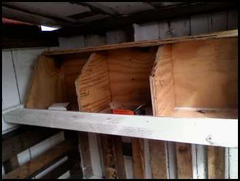 48460_nest_boxes_2.jpeg
