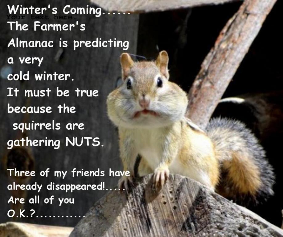 48473_2_nuts.jpg