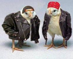48473_51835_biker_chicks.jpg