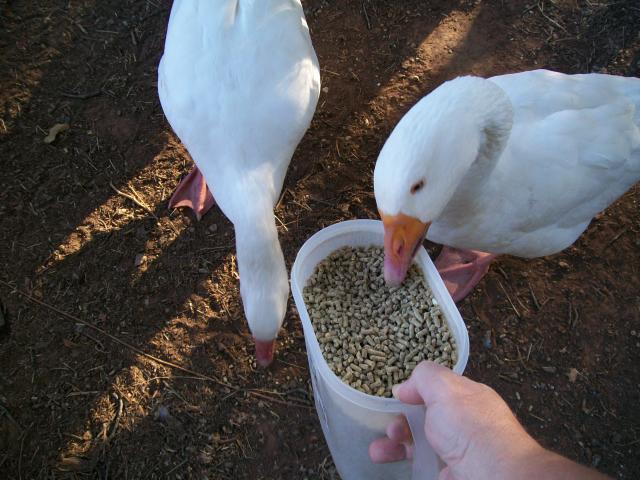 48473_bills_zoo_089.jpg