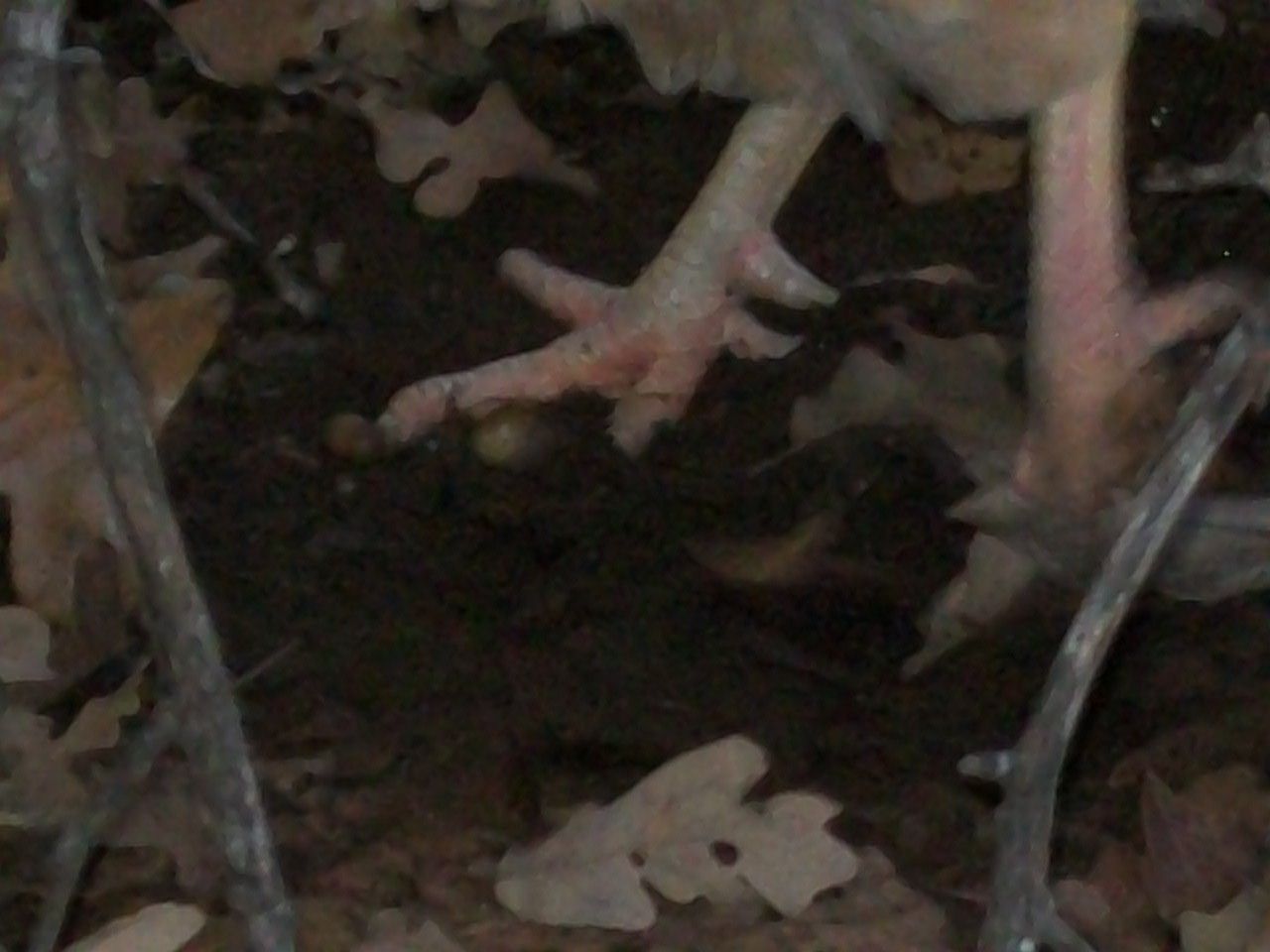 48473_bills_zoo_2oo_023.jpg