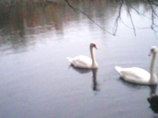 48505_1026111832b.jpg