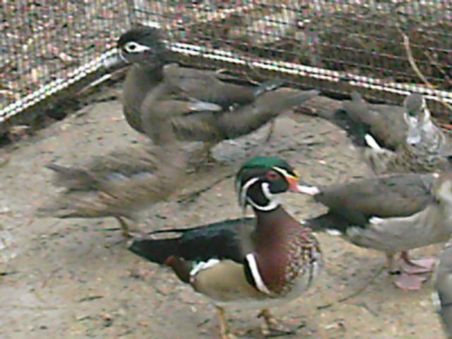 48505_img_0053.jpg