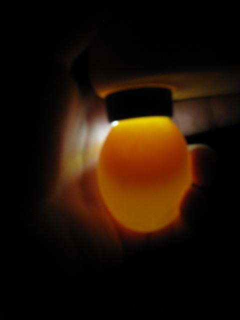 48510_009.jpg
