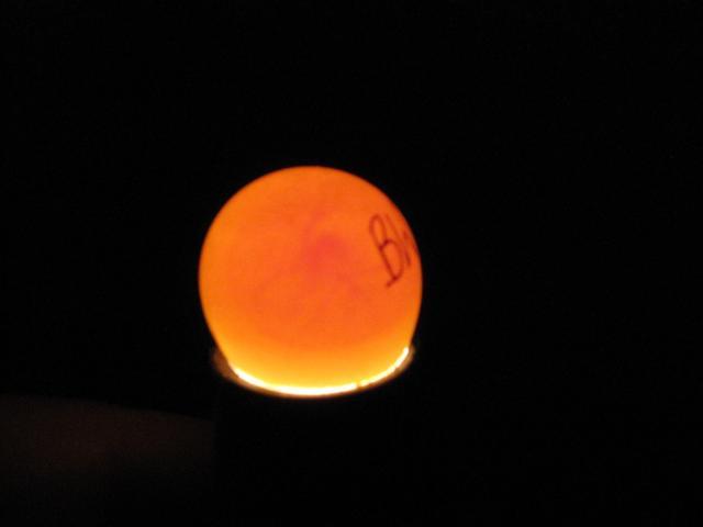 48510_011_2.jpg