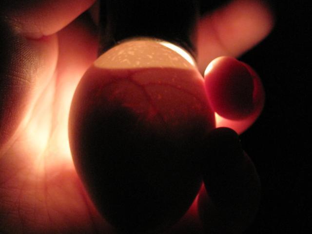 48510_013.jpg