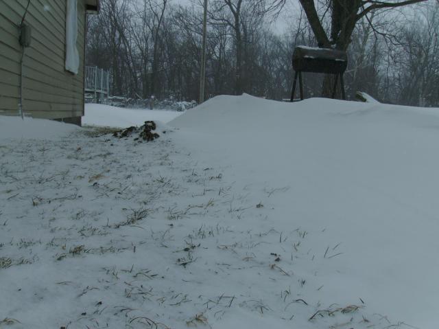 48551_pict0002.jpg