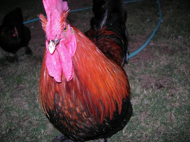 48713_013.jpg