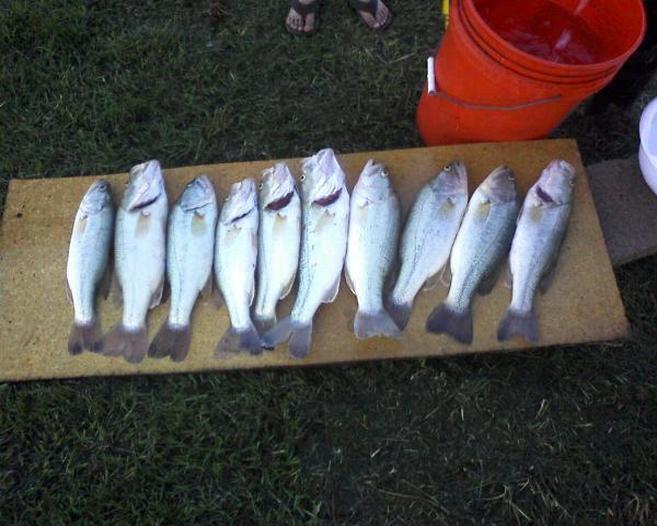 48751_fishing.jpg