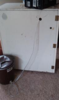 48751_incubator_left_side.jpg