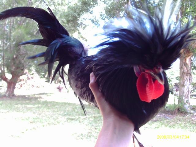 48890_imag0257.jpg