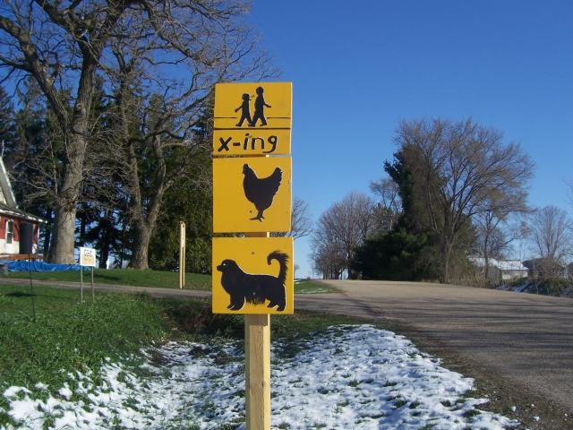 49293_100_2827.jpg