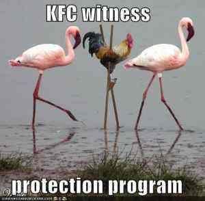 49372_kfc_wpp.jpg