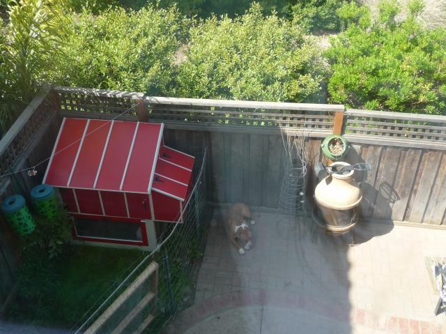 49390_p1050016.jpg