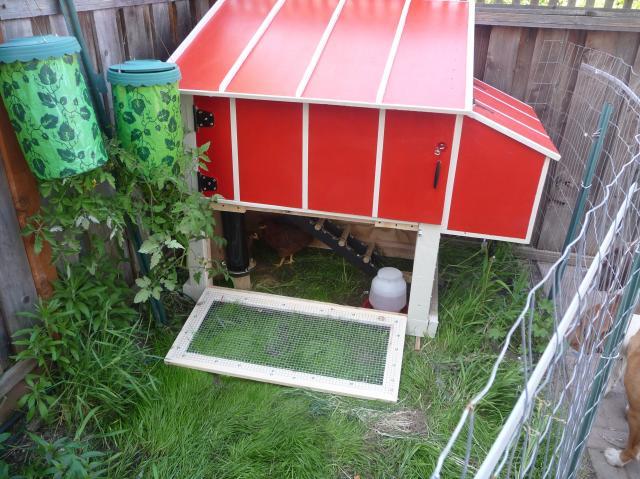 49390_p1050026.jpg