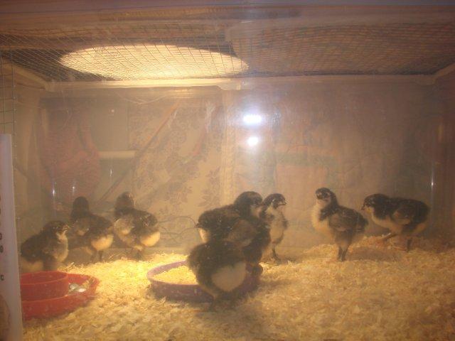 49391_dsc06280.jpg