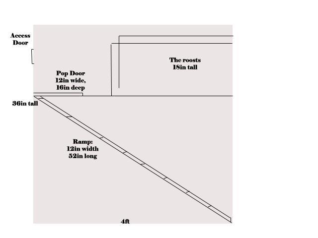 49568_side_view.jpg