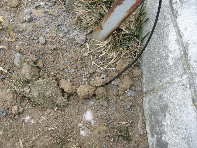 4957_2010_fence_cable_up_from_ground.jpg