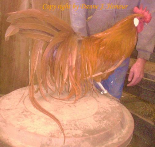 49606_copy_picture_4682.jpg