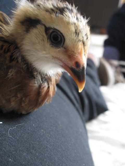 49636_cute8.jpg