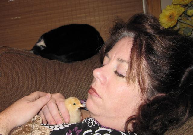 49636_napping1.jpg