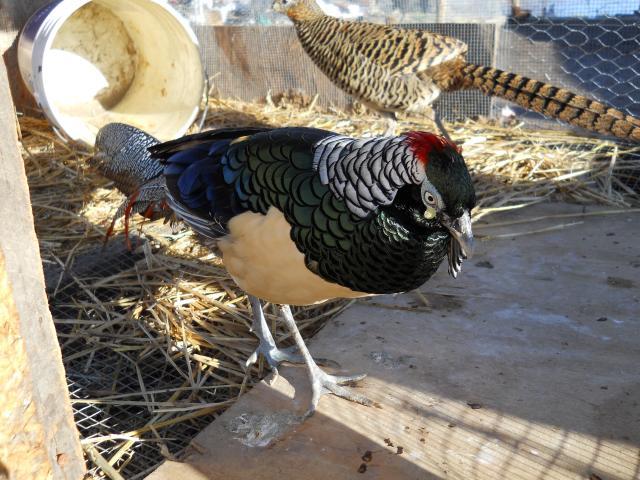 49637_dscn0298.jpg