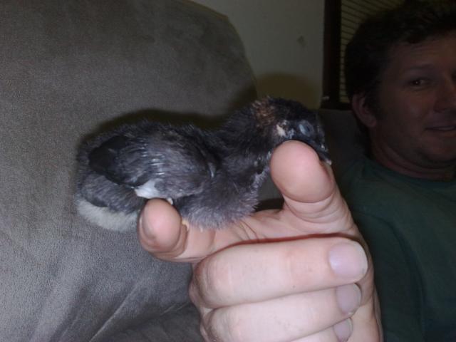 49640_08032010400.jpg