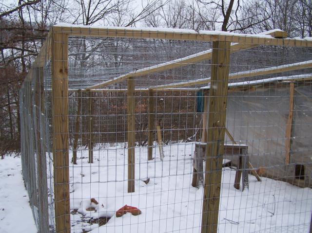 49758_12-23-10_chickens_083.jpg