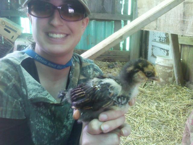 49767_chick3.jpeg