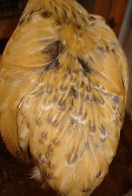 49849_dsc05975.jpg