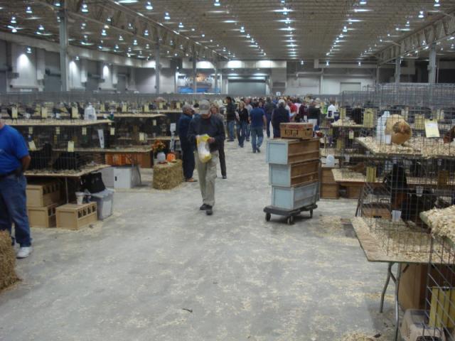 49849_dsc06711.jpg