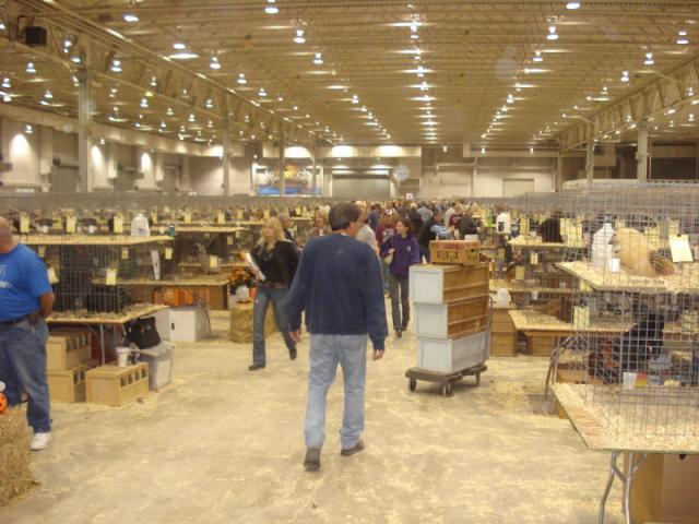 49849_dsc06712.jpg