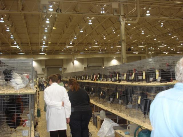 49849_dsc06714.jpg