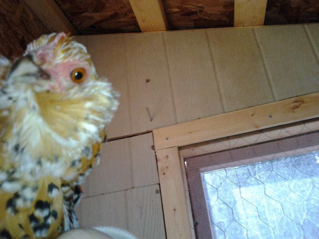 49857_2011-11-26_111433.jpg